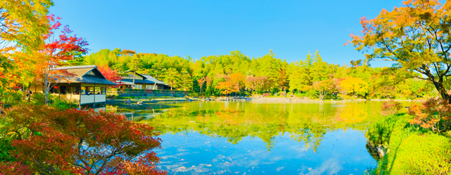 昭和記念公園日本庭園紅葉｜タチカワあたり