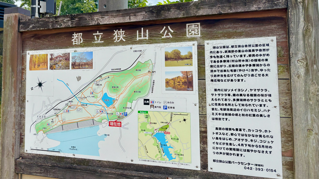 狭山公園｜タチカワあたり